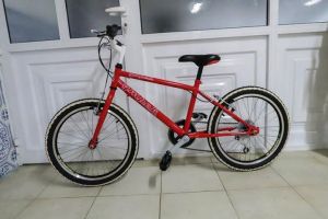 11350644_833994166680051_635770801079058189_n